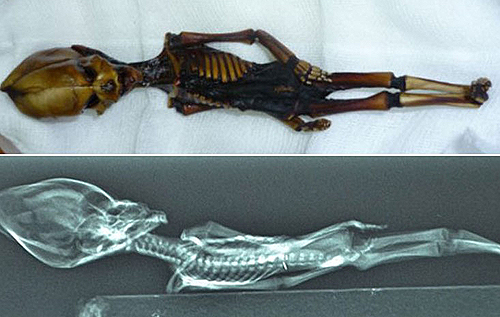 Ученые разгадали тайну скелета "инопланетянина" из пустыни Атакама