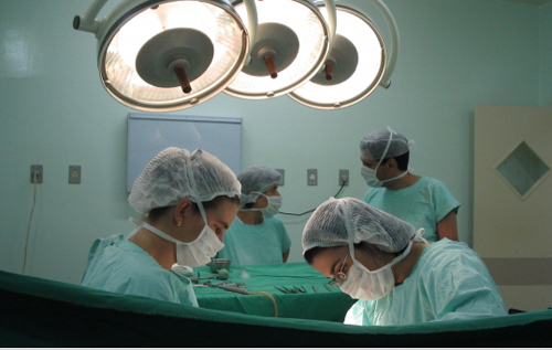 В Бразилии разработали новый метод трансплантации органов, исключающий отторжение тканей