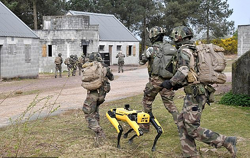 Во Франции военные тестируют робота-собаку, которая будет выполнять опасные задачи. ФОТО