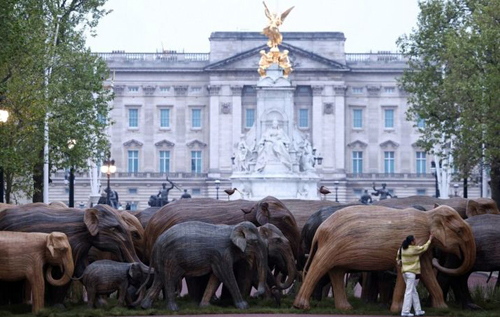К Букингемскому дворцу в столице Великобритании "пригнали" стадо деревянных слонов