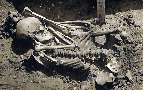 В Японии археологи обнаружили скелет рыбака, на которого напала акула более 3 тысяч лет назад