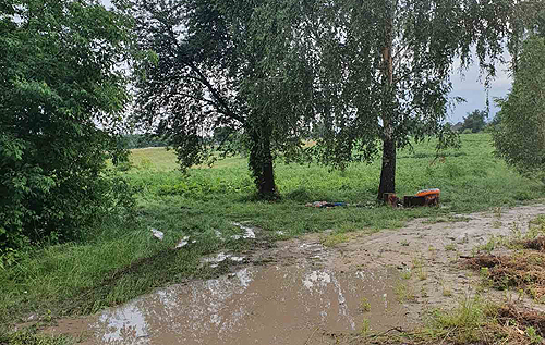 У Черкаській області блискавка вбила двох людей