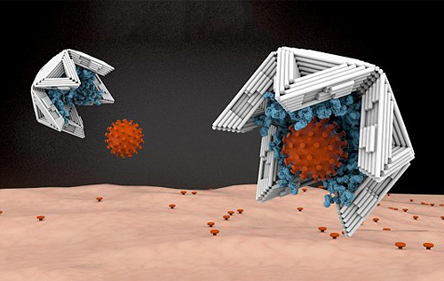 Ученые изобрели наноловушки для борьбы с вирусами