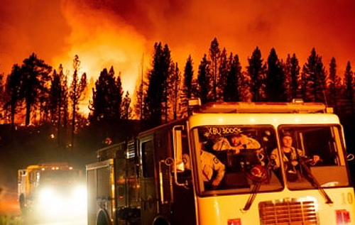 Лесные пожары в США: огнеборцы сняли жуткое видео из пожарной машины