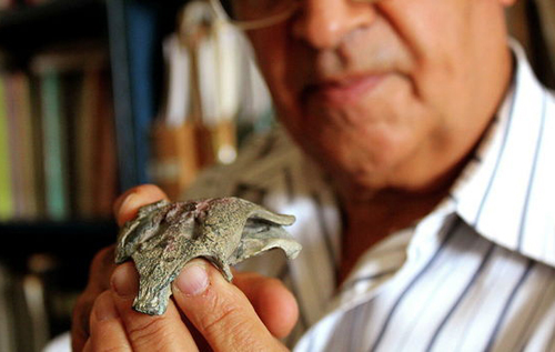 Не больше кошки: в Аргентине ученые нашли карликового "деда" современных крокодила