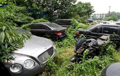 В Китае обнаружили "кладбище" элитных автомобилей. ВИДЕО