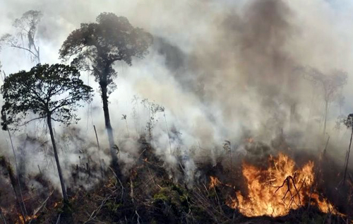 Дым от лесных пожаров способствует распространению COVID-19, – исследование