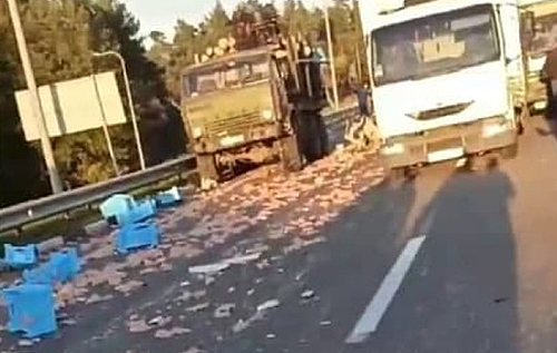 В Житомирской области столкнулись три фуры. Куриные окорочка разлетелись по дороге. ВИДЕО