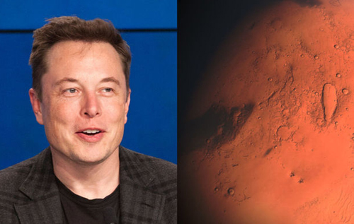 Илон Маск хочет построить завод Tesla на Марсе