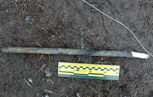 На Черкащині дівчинка-підліток забила палицею до смерті дорослого чоловіка