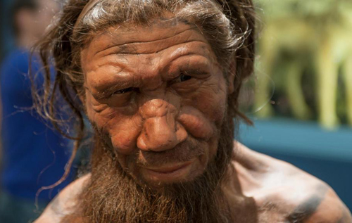 За кишечные и сосудистые заболевания современного человека ответственны неандертальцы