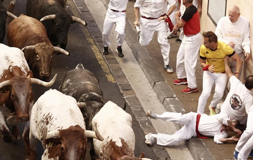 У забігах з биками в Іспанії поранено 22 особи. ВІДЕО