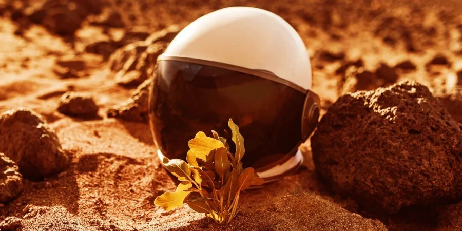 Біологи назвали першу рослину, яку ми повинні посадити на Марсі