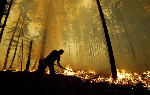 На Луганщині через масштабну лісову пожежу вибухають міни