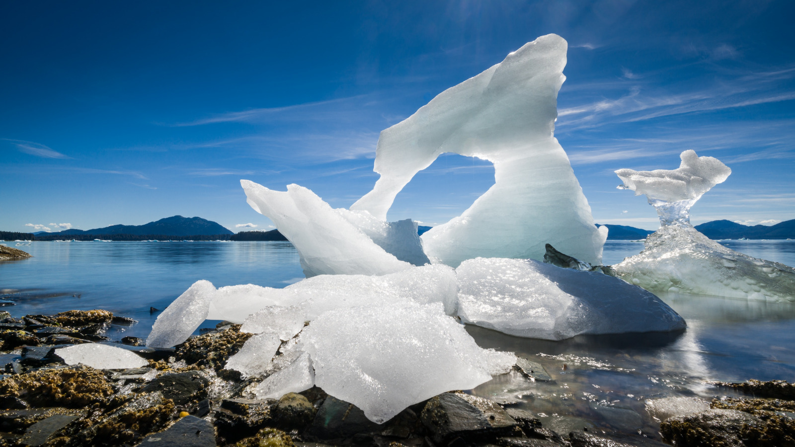Як тануть льодовики на Алясці