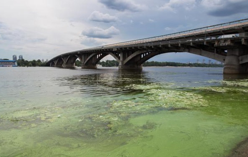 Річка Дніпро опинилася на межі екологічної катастрофи: експерти назвали причини