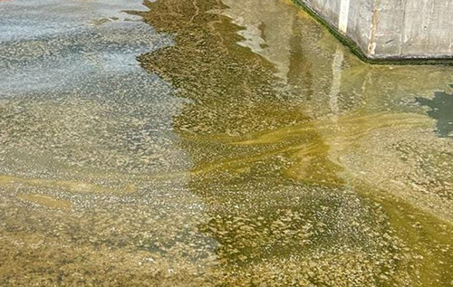 Через удари РФ по порту Південний стався витік олії у Чорне море