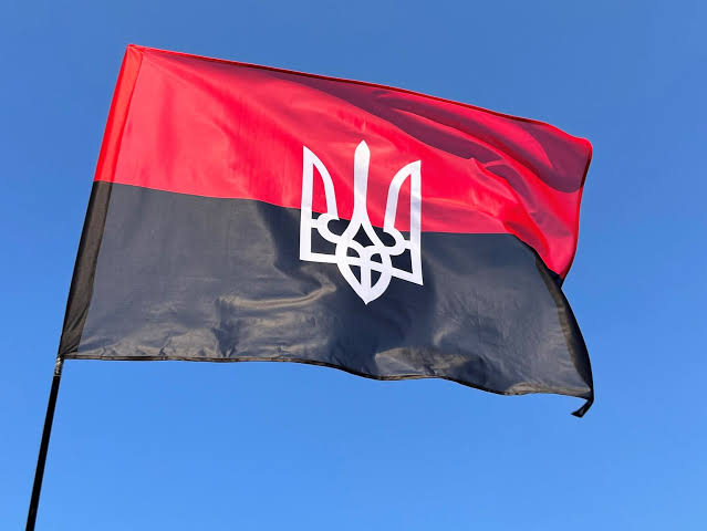 Польські депутати у Європарламенті ініціювали резолюцію щодо "геноциду УПА"