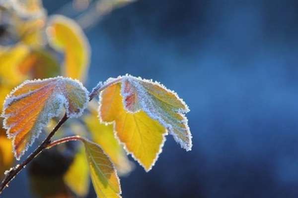 Завтра в Україні температура повітря нагадає, шо зима в нас все ж можлива, – Діденко