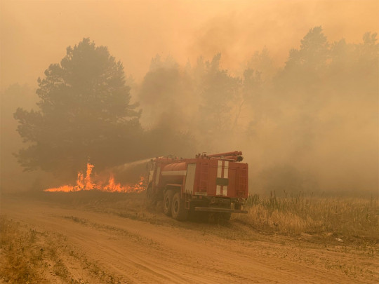 Масштабный лесной пожар на Луганщине: с огнем борются пожарные четырех областей, местных жителей эвакуируют