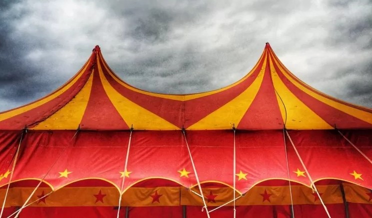 У РФ сім'ям ліквідованих мобілізованих видали квитки в цирк