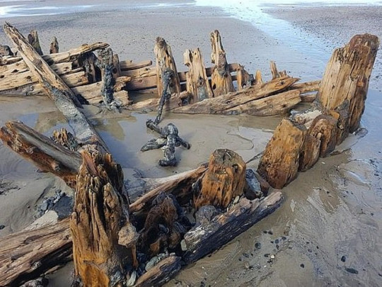На узбережжі Австралії після сильного дощу виявили судно, яке загинуло 130 років тому.