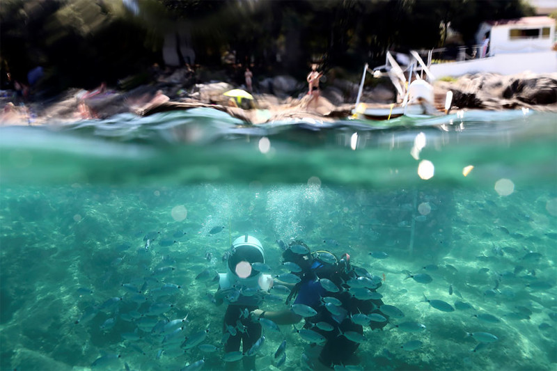 Уникальный подводный парк в Хорватии, по которому можно гулять пешком. ФОТО