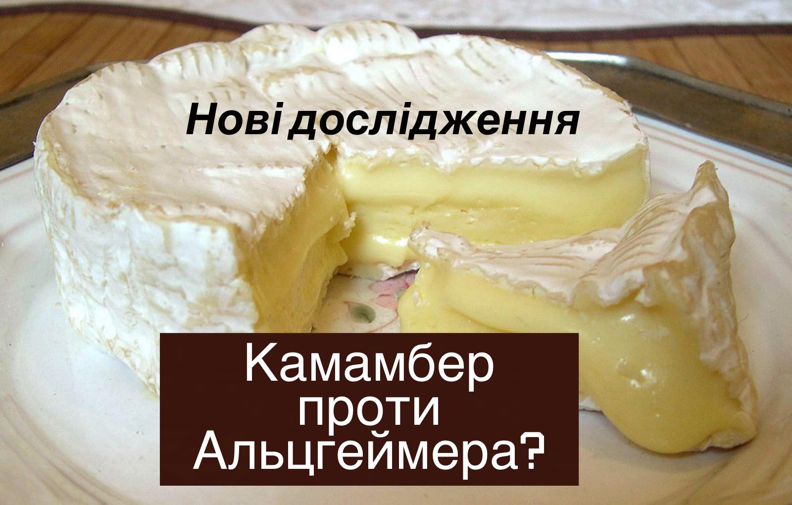 Шматочок камамберу для омолодження мозку, – Оксана Скиталінська 