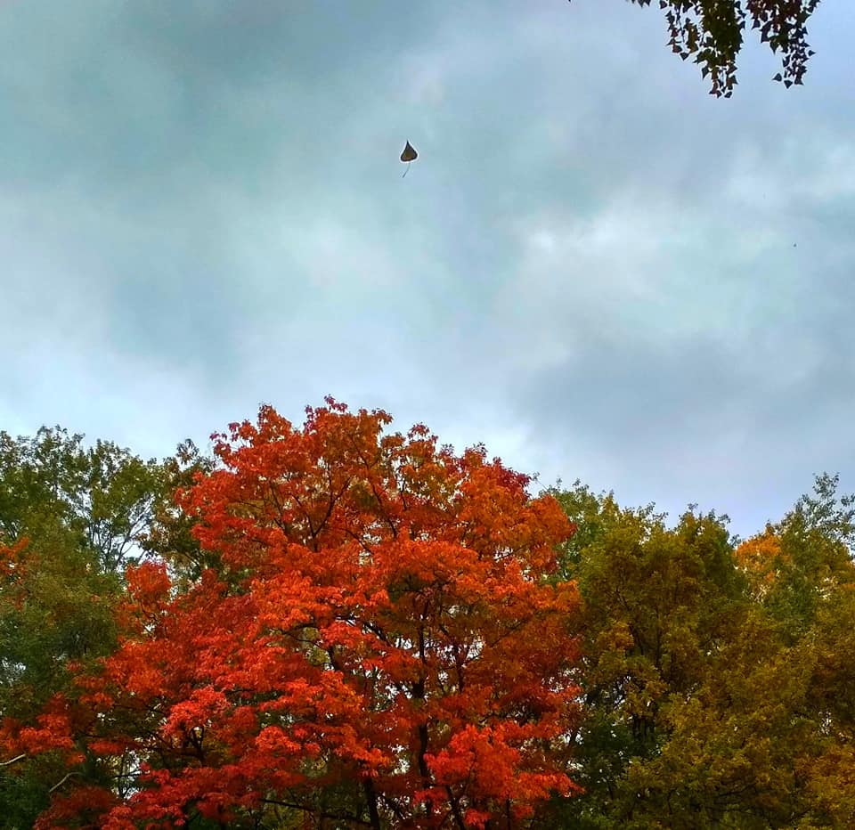В Україну йде різке похолодання, - синоптик 