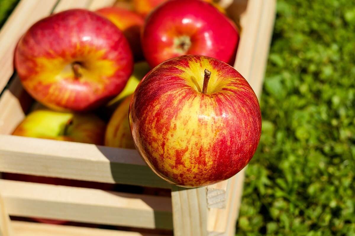 Монополія на фрукт. Apple намагається зареєструвати торгову марку з цілим яблуком 
