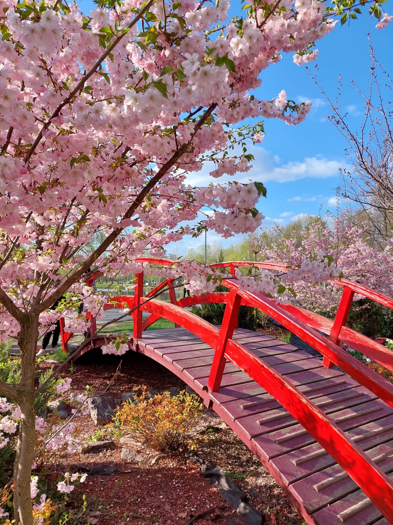 Коротка кліматична характеристика травня, - Укргідрометцентр 