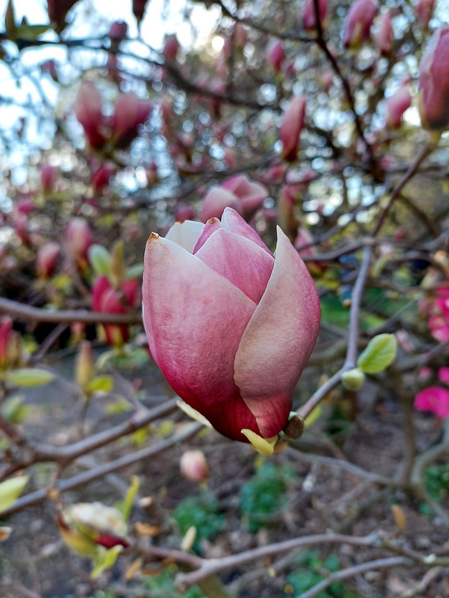 Синоптики розповіли, якою буде погода 17 квітня 