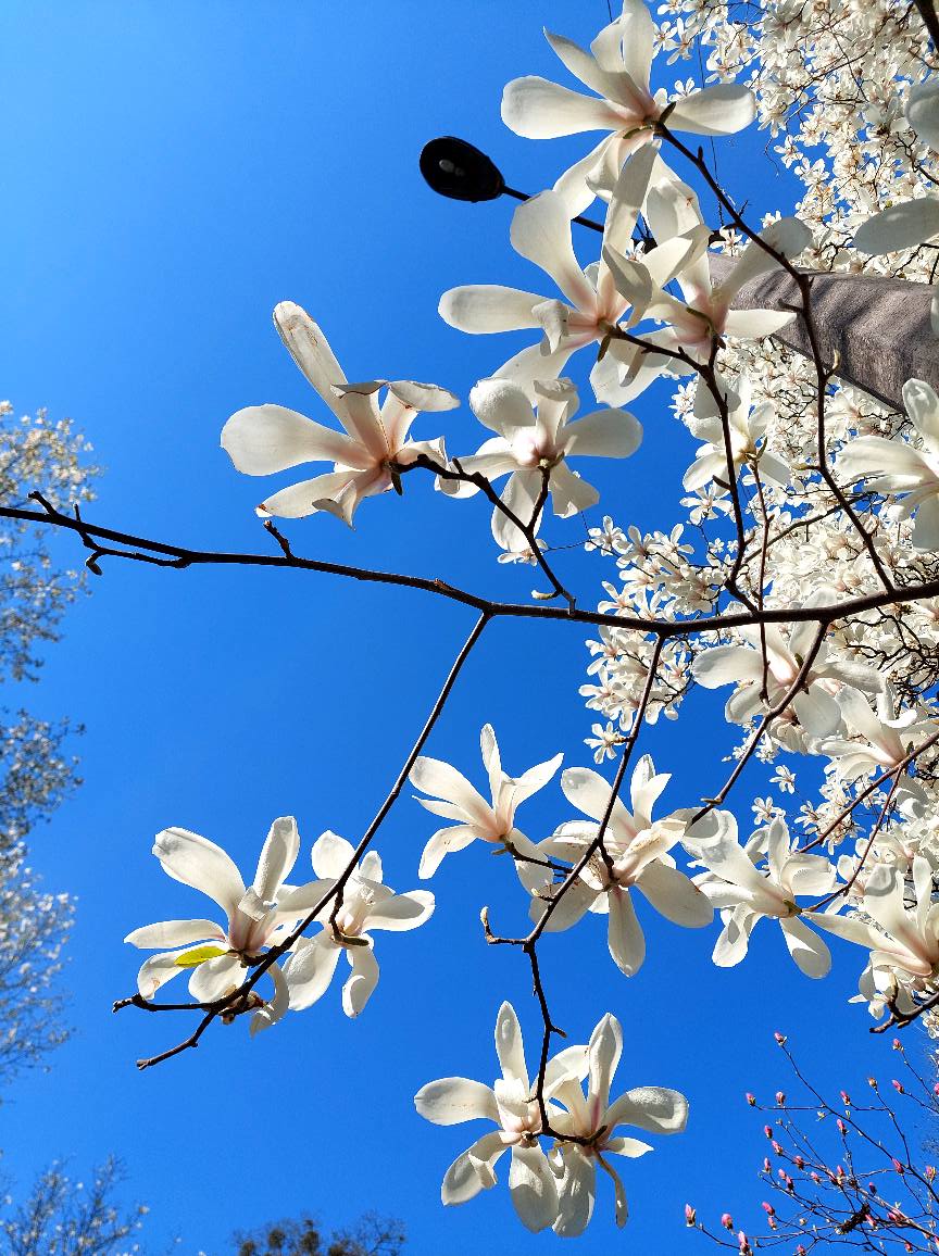 Ночі ще прохолодні, але вдень вже веселіше. Наталка Діденко розповіла, якою буде завтра погода 