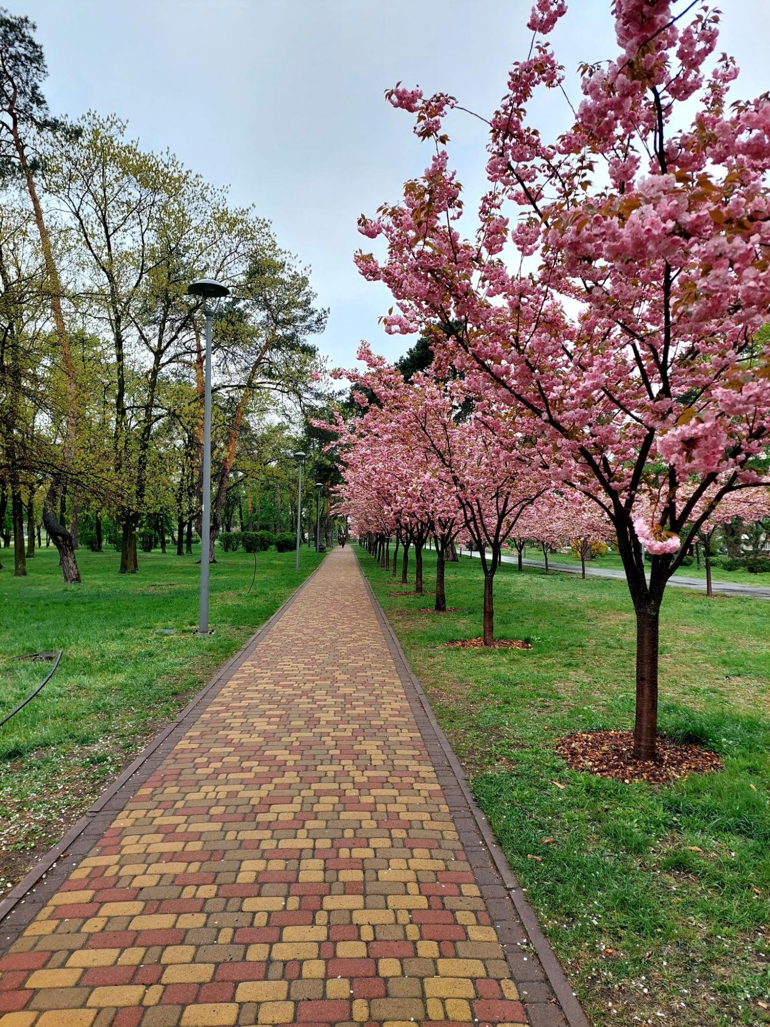 То дощ, то сніг, то вітер: синоптикиня розповіла, якою буде погода в останні квітневі вихідні 