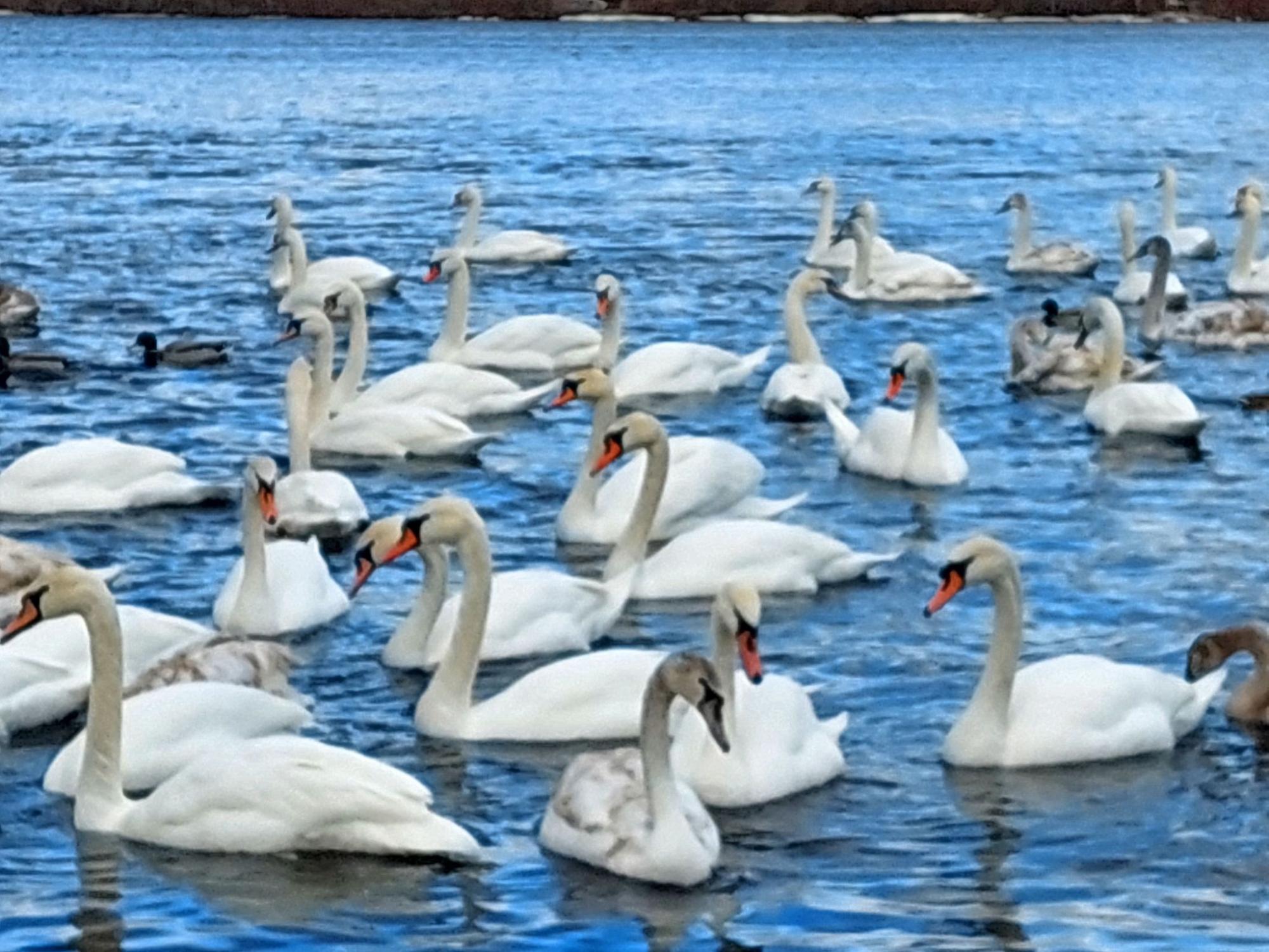 Синоптикиня розповіла, якою буде погода на вихідних та коли чекати на похолодання 