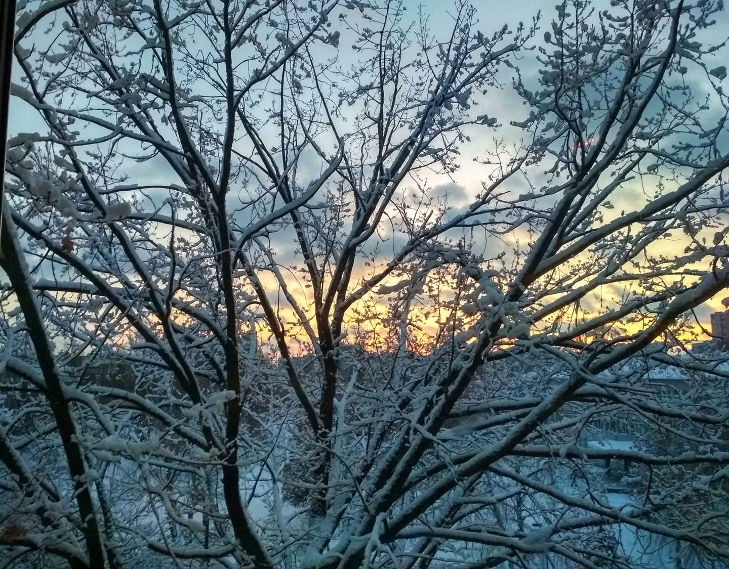 До -15-24 градусів: в Україну йде сильне похолодання 