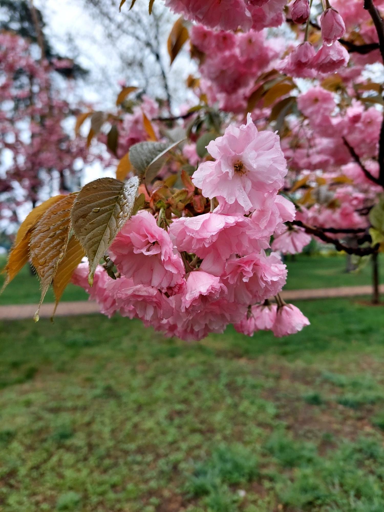 П'ятниця в Україні буде вітряною, але опадів поменшає, - синоптикиня 
