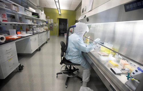 В мире распространяется три штамма коронавируса