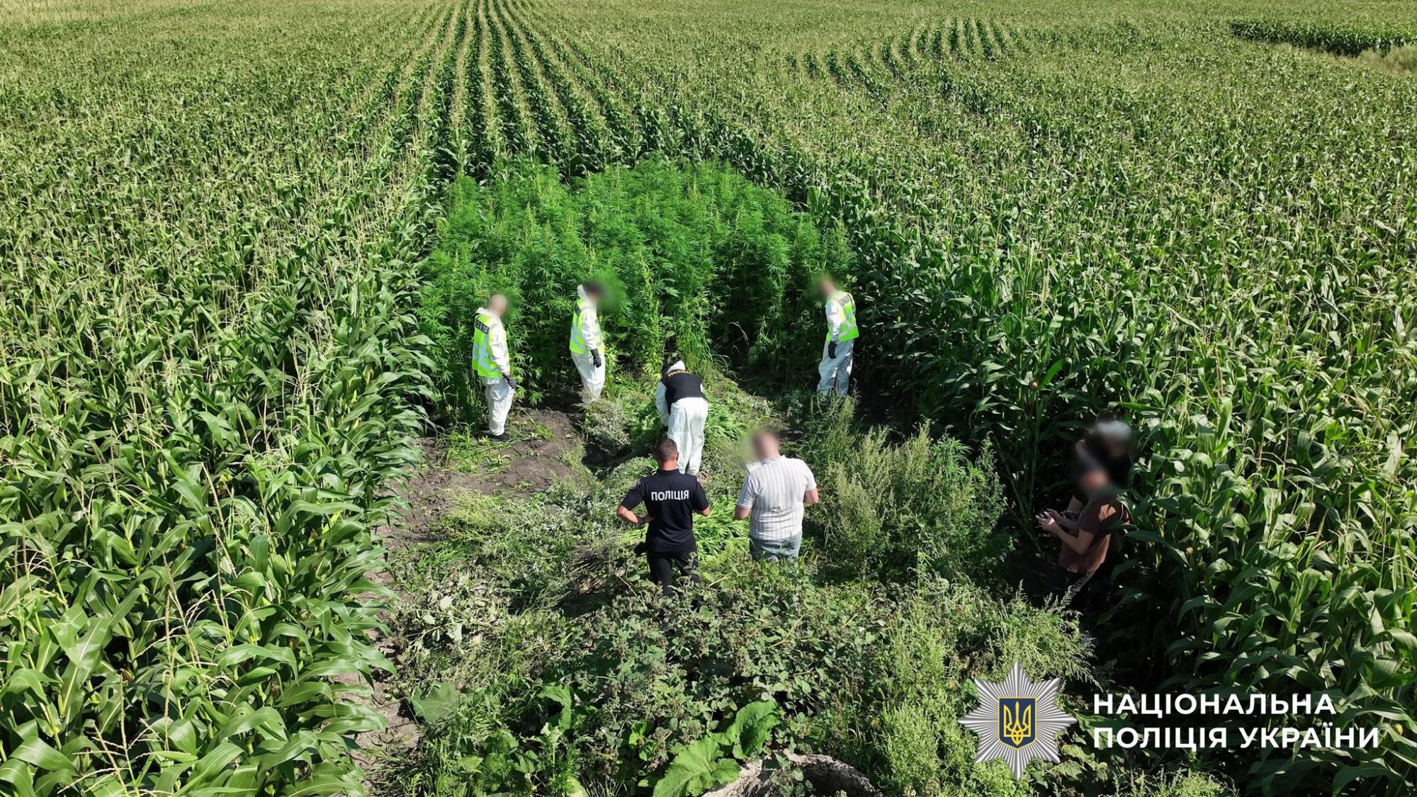 Нацполіція провела масштабну операцію "Джентльмени". ФОТО