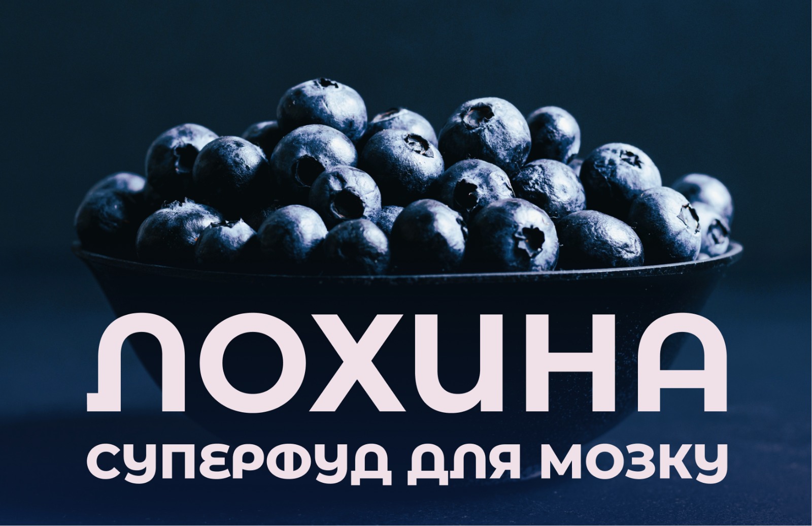 Як лохина сприяє здоров'ю та функціонуванню мозку: результати досліджень