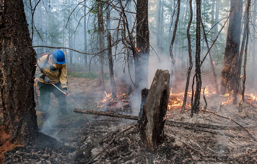 Масштабы пожаров в Сибири бьют беспрецедентные рекорды прошлого года