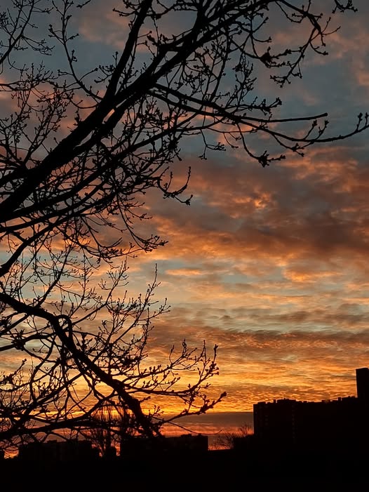 Орієнтовне похолодання з 26-го грудня не буде переконливим. Зима нас любить, – синоптикиня 