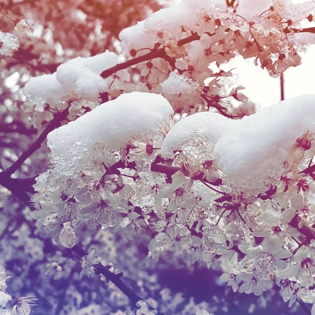 Місцями дощ з мокрим снігом: синоптична ситуація поки не покращується 