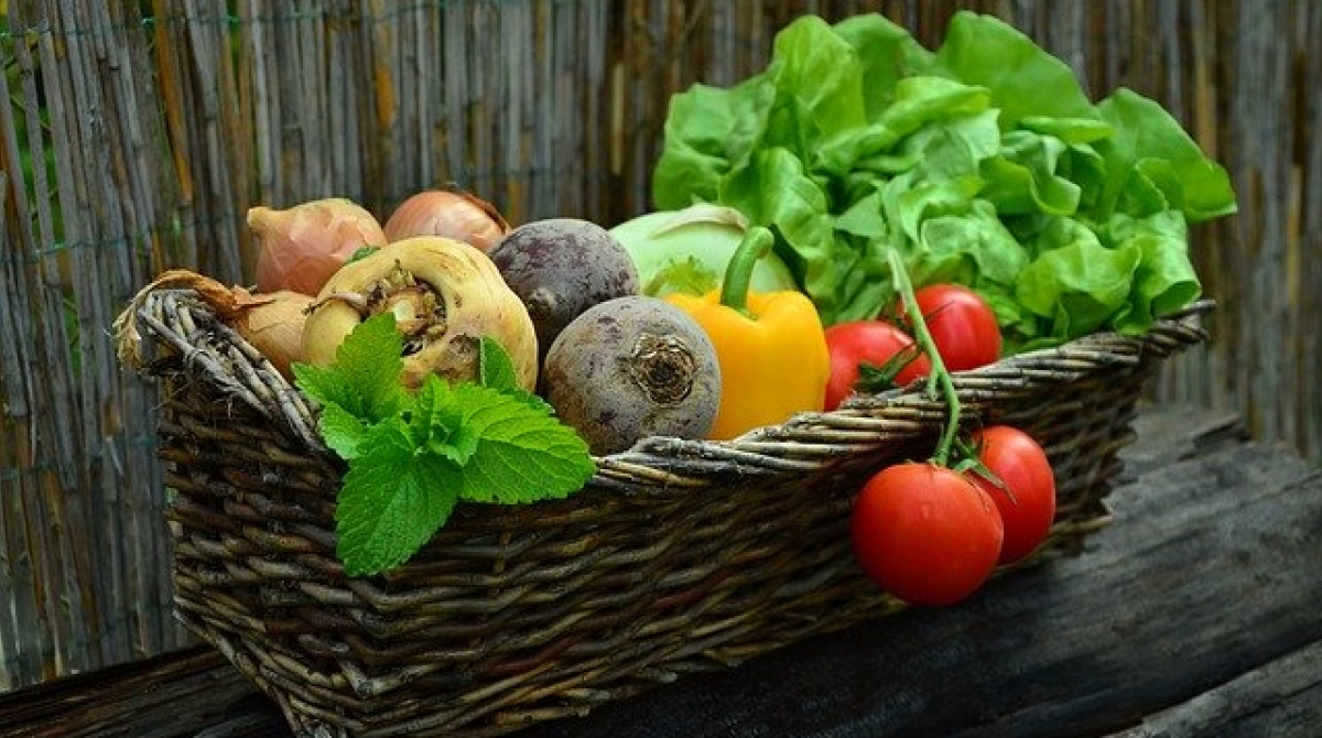 Земельна реформа вплинула на зростання цін в Україні на овочі – експерт FAO