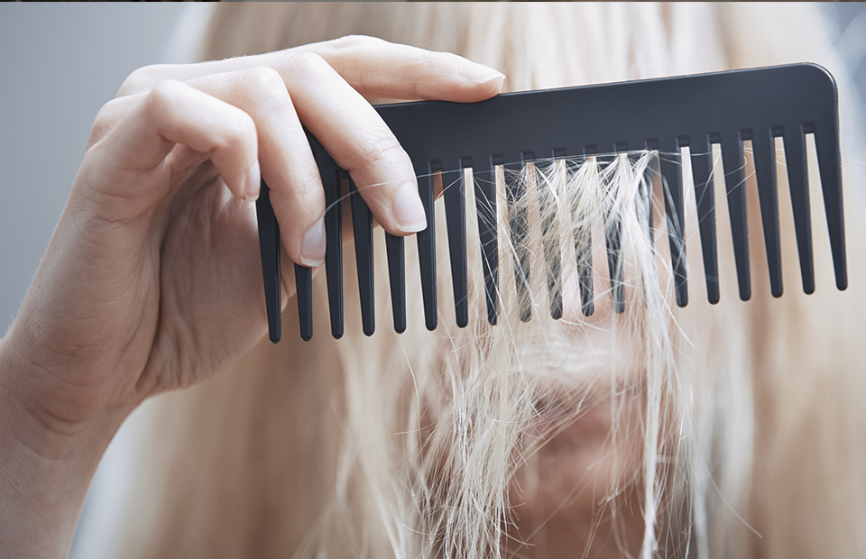 Боротьба з облисінням. Японські вчені навчилися вирощувати справжнє людське волосся