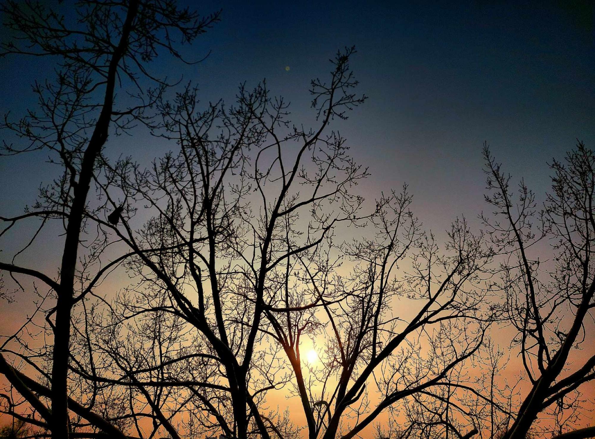 "Ми не повинні сумніватися у весні", - синоптикиня розповіла, що потепління прийде в Україну за декілька днів