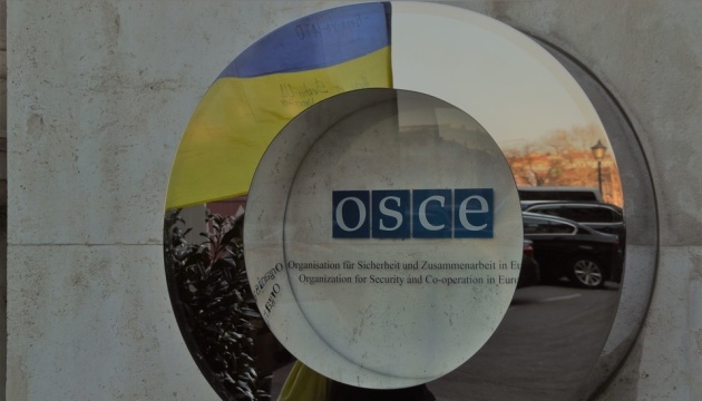 На сході України з полону бойовиків звільнили співробітника місії ОБСЄ
