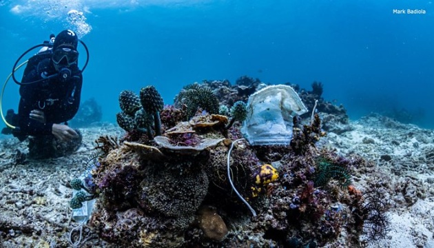 Филиппинские рифы засорили одноразовыми масками