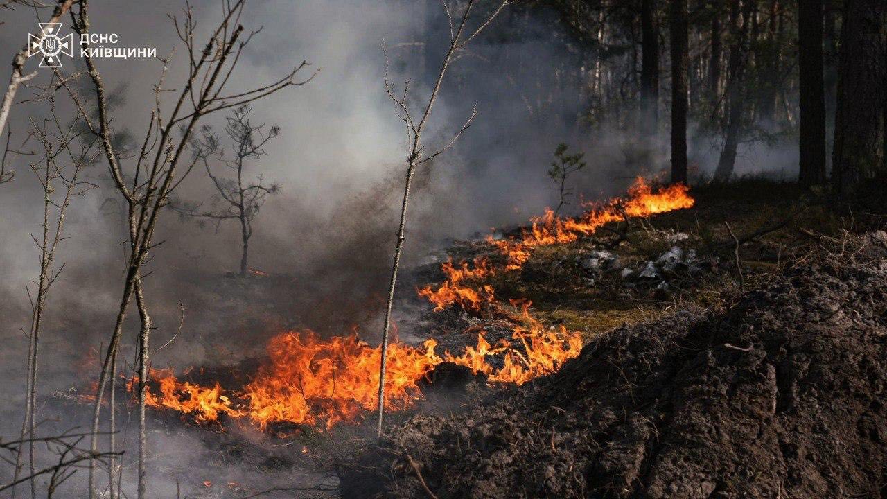 Чи є радіаційна загроза через пожежу у Зоні відчуження