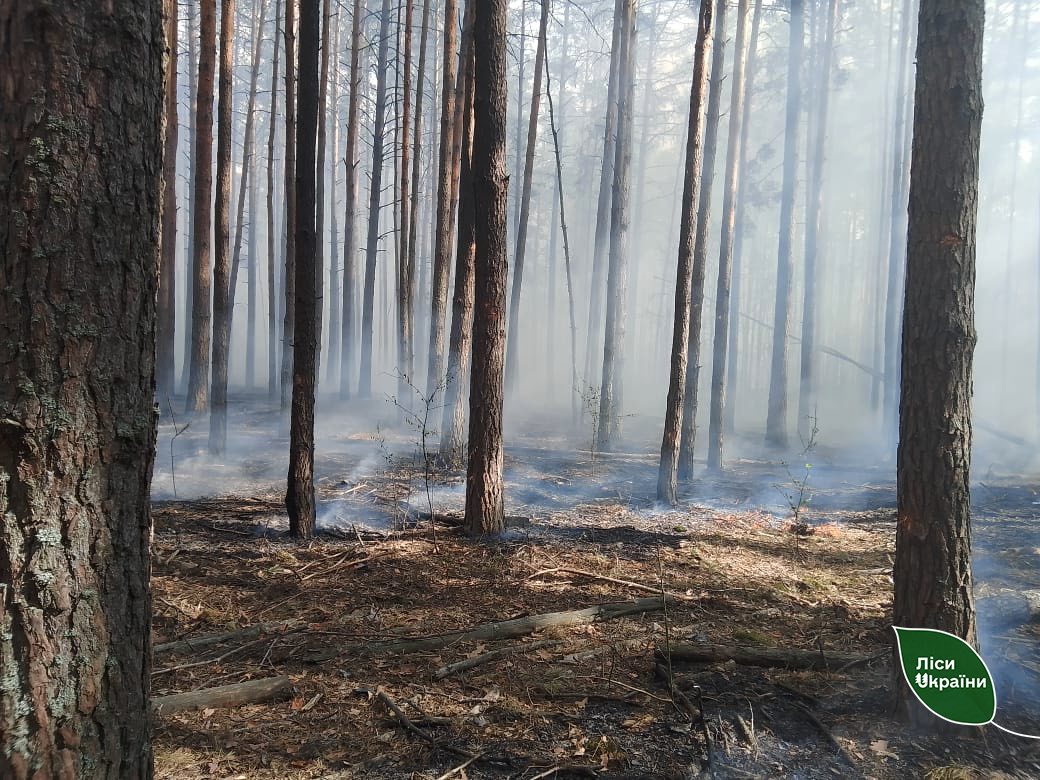 Після російської атаки на Київщині майже добу гасили лісові пожежі